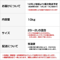 完熟温州みかん 10kg 和歌山のみかん職人が作るこだわりミカン