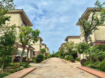 【法蘭朵】獨棟電梯豪宅｜渴望園區｜歐式建築別墅｜桃園市龍潭區渴望路