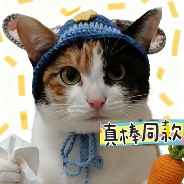 免運🔥限時優惠同款迪士尼瘋狂動物城兔子朱迪貓咪帽子成品 可愛/手工/針織