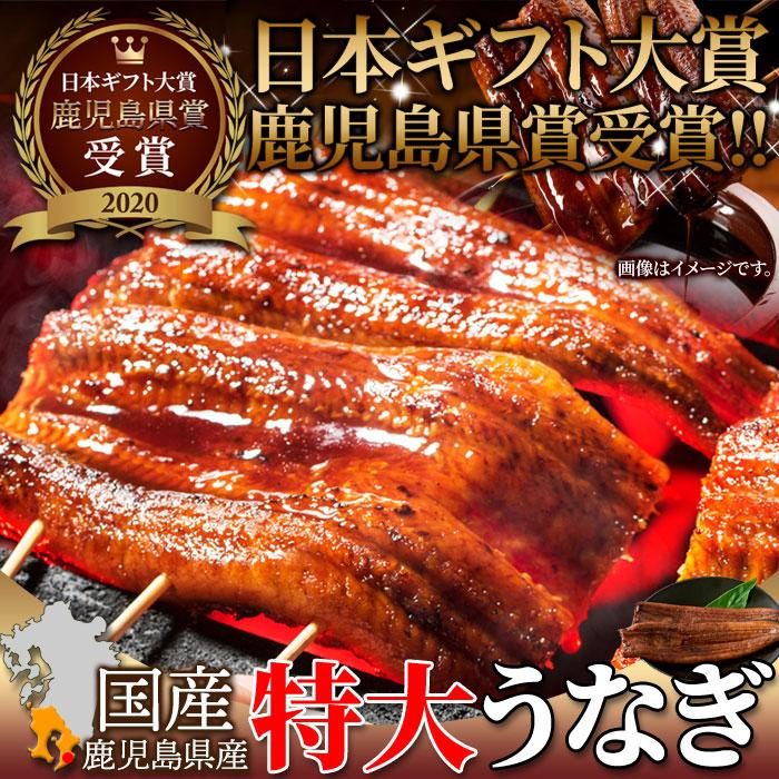 国産特大うなぎ蒲焼き 186g×2袋 鹿児島県産 こだわりのつまった特大うなぎ蒲焼き ふっくらジューシーで食べ応え満点