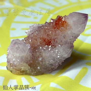 仙人掌水晶簇-3號(Cactus Quartz) -附標本盒
