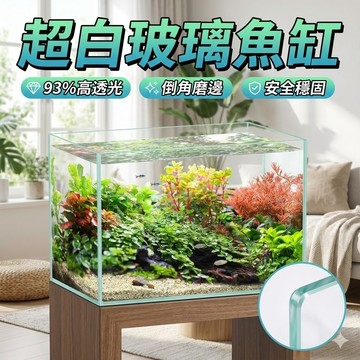 【台灣出貨】超白玻璃魚缸｜93%高透光水族箱｜倒角磨光不割手｜4mm厚度多尺寸可選｜高透明魚缸