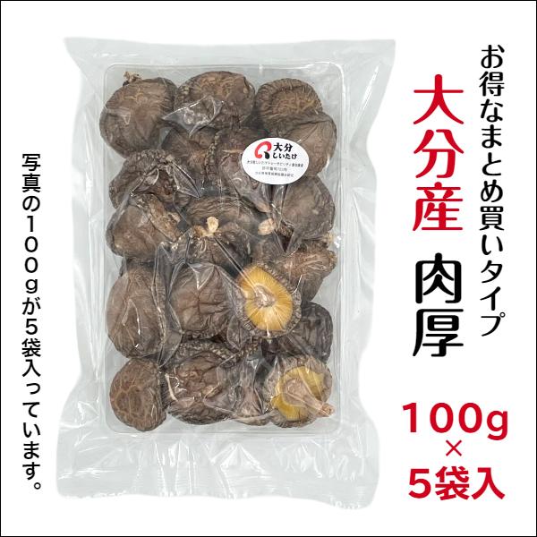 干し椎茸 大分産 肉厚 100g×5袋入 中サイズ 原木栽培 無農薬 国産 大分県産 しいたけ 椎茸 シイタケ 干ししいたけ 干しシイタケ