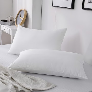 Ishur 伊舒爾 3M吸濕排汗水洗枕  75 x 45cm  1個