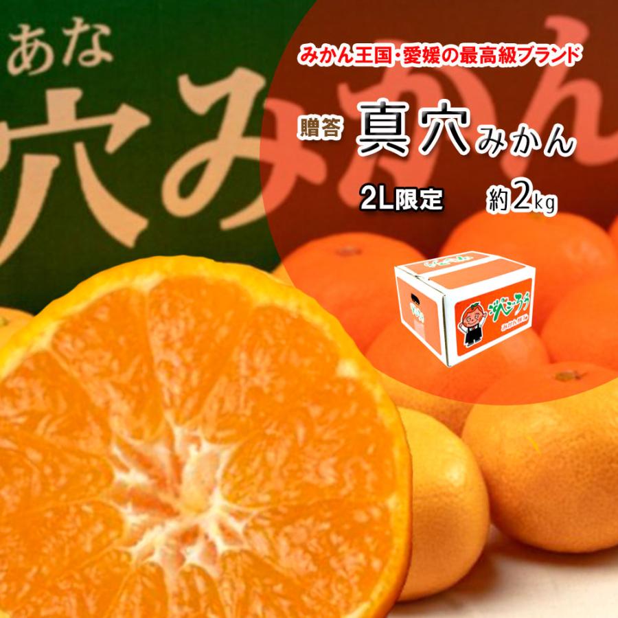 真穴みかん みかん 贈答 お歳暮 真穴 約2ｋｇ 2L サイズ限定 送料無料 愛媛県産