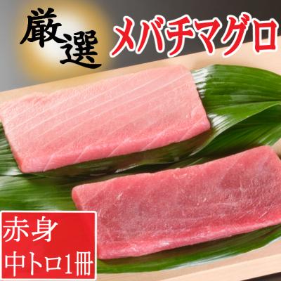 ふるさと納税 室戸市 厳選メバチマグロ赤身、中トロ食べくらべ