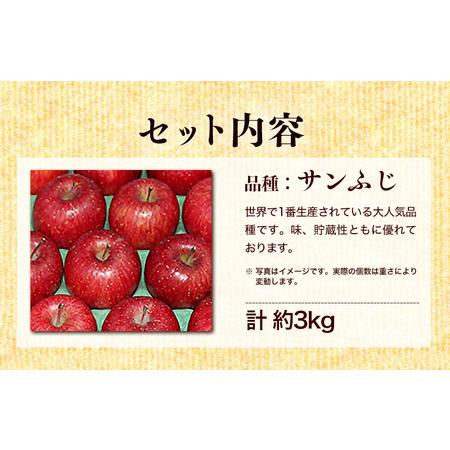 ふるさと納税 ふじむら農園の盛岡りんご『サンふじ』約3kg（ご家庭用） 岩手県盛岡市