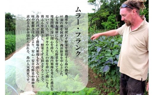 季節の野菜詰め合わせ（5～6種）！農薬不使用だから安心安全！