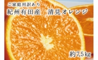 紀州有田産清見オレンジ　7.5kg 	※2024年3月下旬頃～2024年4月下旬頃に順次発送予定(お届け日指定不可)