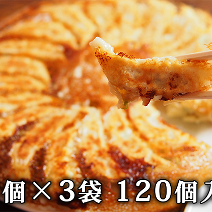 北海道産豚肉の餃子 120個｜北海道 滝川市 ギョウザ 餃子 ぎょうざ 中華 惣菜 お惣菜 おかず