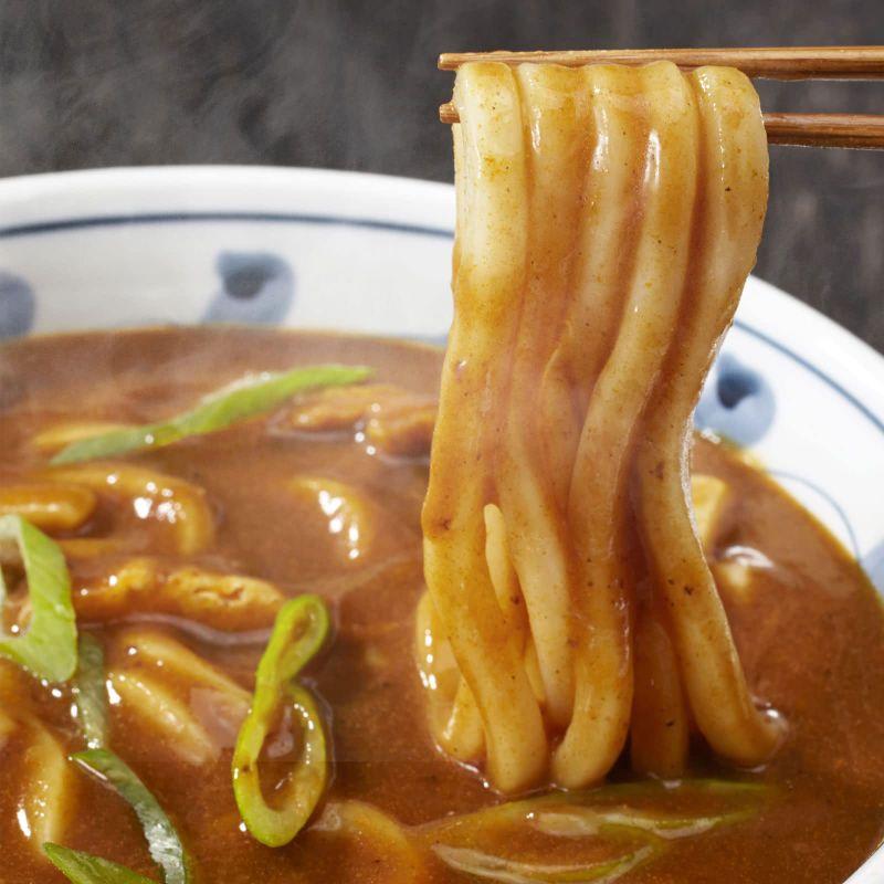 うどん さぬきうどん 讃岐のカレーうどん 10食 讃岐うどん ご当地 セット 産直 どんまい