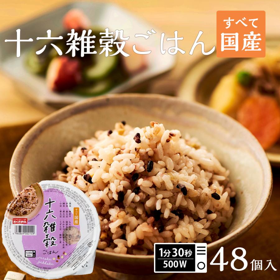 ご飯パック 十六雑穀48個セット 160g おくさま印 お米 レトルト 無添加 国産 レンジで簡単 温めるだけ 送料無料