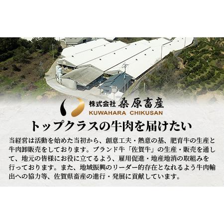 ふるさと納税 佐賀牛 ロース ステーキ用 500g (2枚入) D-173 (佐賀牛サーロイン 佐賀牛リブロースのいずれか500g)美味しい佐賀牛を贅沢にお届け 佐賀県鹿島市