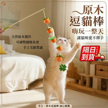 響鈴逗貓棒 貓薄荷玩具 貓薄荷逗貓棒 貓咪玩具 鈴鐺逗貓棒 小番茄柿子串 貓咪自嗨玩具 貓咪解悶神器QJ3004XB