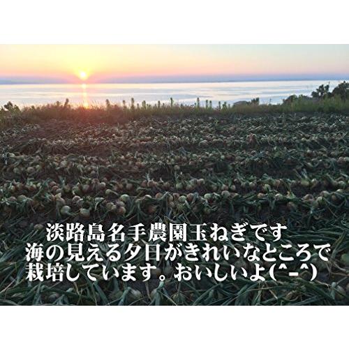 名手農園 淡路島産 たまねぎ 2023年産 玉ねぎ 10kg　期間限定販売中！