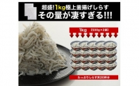 5.極上釜揚げしらす1kg（500g×2）(A5-1)