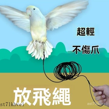 鸚鵡腳鏈 鸚鵡外出繩 鳥腳環 不鏽鋼腳鍊 鸚鵡腳環 鸚鵡活環 不銹鋼鸚鵡腳鏈 鸚鵡飛行繩 鸚鵡牽引繩 【1386人好評】