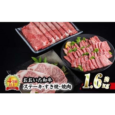 ふるさと納税 おおいた 和牛 3種 セット (合計1.66kg・サーロインステーキ180g×2枚・ウデ肉700g・焼肉300g×2P) 国産 豊後牛 BBQ 赤身 .. 大分県佐伯市