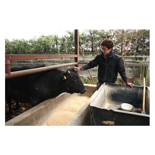 ふるさと納税 熊本県 小国町 黒毛和牛モモ肉2kg（500g×4）