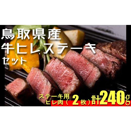 ふるさと納税 鳥取県 倉吉市 鳥取県産牛ヒレステーキセット　2枚（計約240g）牛肉 ヒレ ヒレステーキ 和牛 国産牛 ステーキ