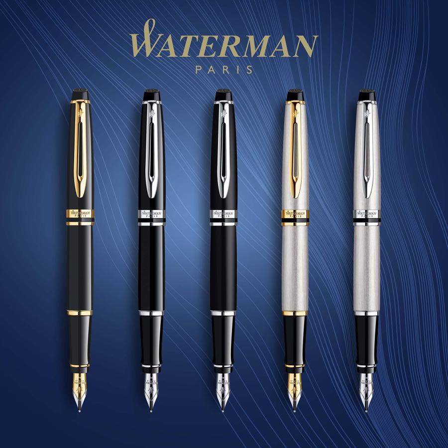 Waterman Expert Gift Box includes Medium Nib Gold Trim Fountain Pen Stainless Steel 万年筆 (並行輸入品)[並行輸入品]