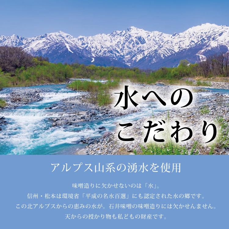 石井味噌  蔵元のとん汁10食セット  送料無料  記念日 誕生日プレゼント お祝い 贈り物 お礼 ギフト プレゼント