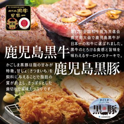 ふるさと納税 南さつま市 鹿児島黒牛 5等級サーロインステーキ 400g鹿児島黒豚 とんかつ用 900g 計1.3kg