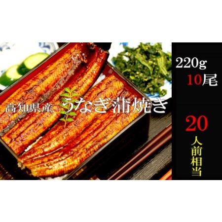 ふるさと納税 うなぎ 国産 高知県産 鰻 蒲焼き 220g×10尾 セット 蒲焼きのタレ 付き 冷凍 高知県 須崎 うなぎ 蒲焼き うなぎ 冷凍 うなぎ.. 高知県須崎市