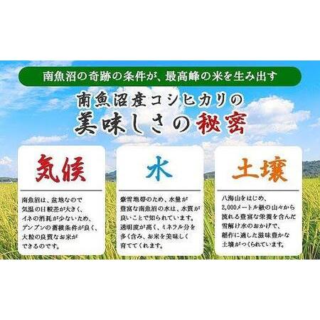 ふるさと納税 南魚沼産 コシヒカリ 25kg (5kg×5袋) 壱成 農家のこだわり 新潟県 南魚沼市 魚沼産 こしひかり お米 こめ 白米 コメ 食品 .. 新潟県南魚沼市