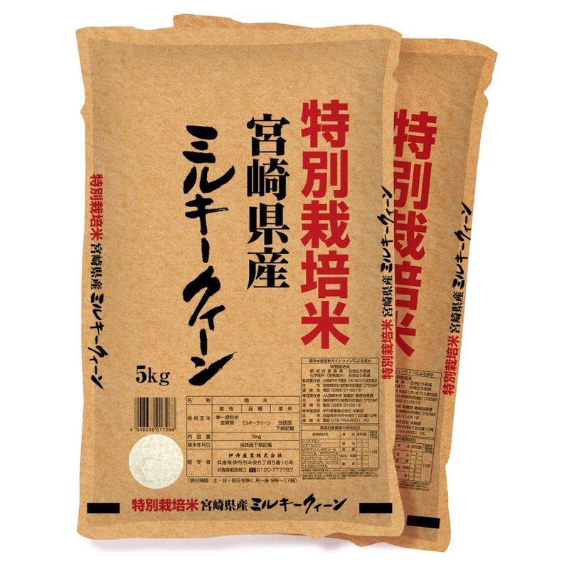 精米宮崎県産伊丹米ミルキークイーン 令和4年産10kg(5kg×2)