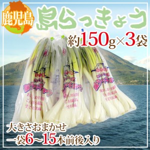 鹿児島県 ”島らっきょう” 約150g×3袋 大きさおまかせ