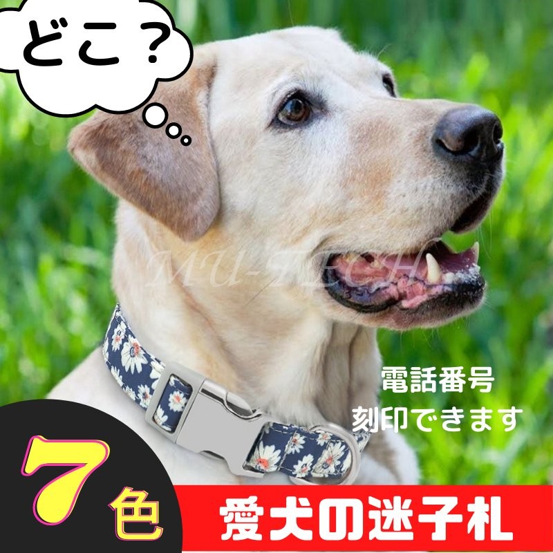 犬 首輪 おしゃれ ネームタグ 名前 カスタマイズ 迷子札 ペット 小型犬 中型犬 大型犬 通販 LINEポイント最大0.5%GET |  LINEショッピング