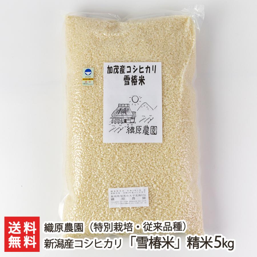 特別栽培米（減農薬・減化学肥料）新潟産コシヒカリ「雪椿米」（従来品種）精米5kg 織原農園 送料無料