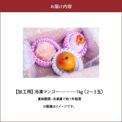 ふるさと納税 和泊町 「訳あり」加工用冷凍マンゴー1キロ(2〜3玉) 沖永良部島産