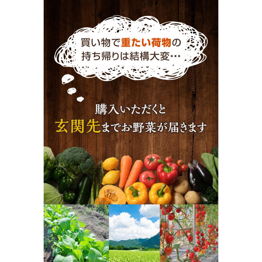 ジャガイモ 玉ねぎ 人参 じゃがいも 玉ねぎじゃがいも人参セット 計10ｋｇ 芋玉人参セット 野菜セット 野菜 メークイン 男爵いも