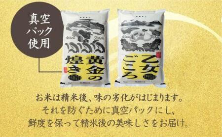  2023年世界最高米原料米に選ばれた飛騨産コシヒカリ「黄金の煌き」10kg (5kg×2) こしひかり 世界最高米 原料米認定農家 和仁農園 金賞受賞農家  TR3485