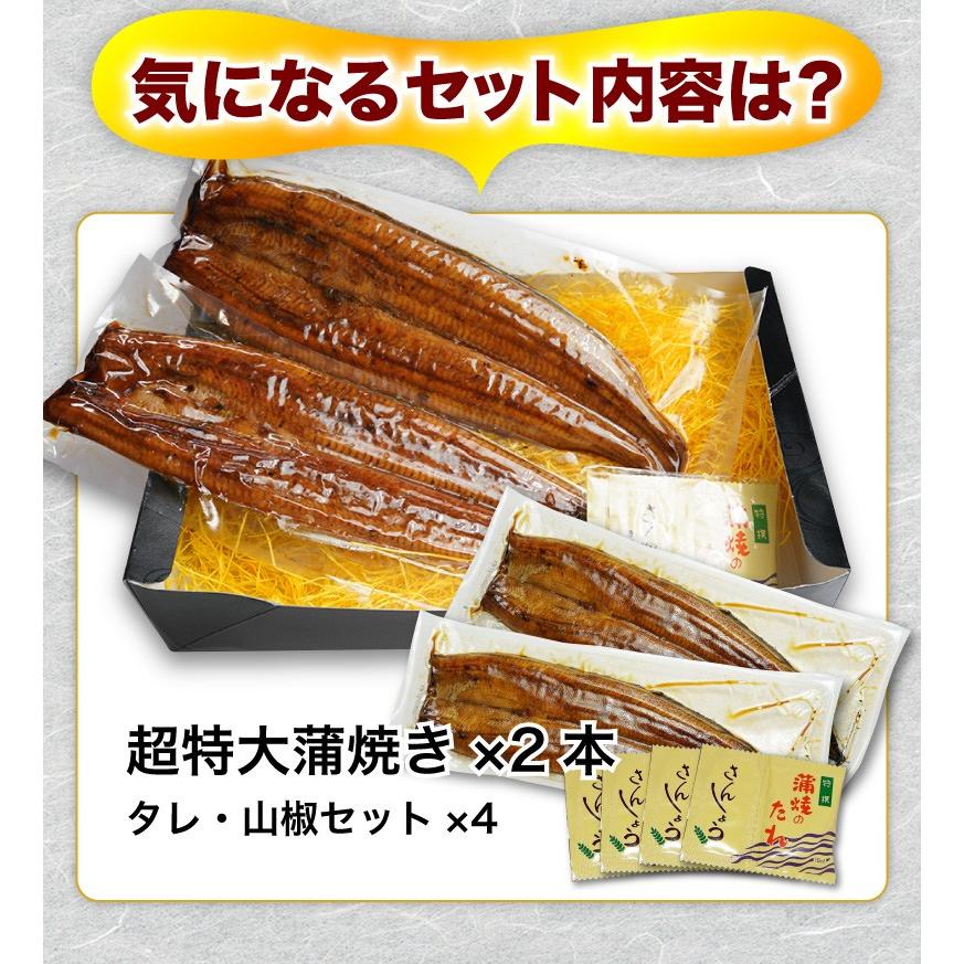 ポイント5倍 母の日 プレゼント グルメ うなぎ 鹿児島産 ブランド鰻 超特大蒲焼き2本 ギフトBOX お洒落な専用ギフトBOXでお届け クール