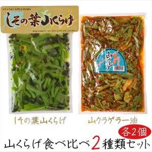 山くらげ食べ比べ2種類セット 各2個 しその葉山くらげ220g×2個 山クラゲラー油 220g×2個 献上菜 食べるラー油 惣菜 ご飯の