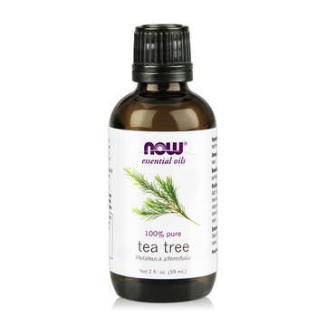 【NOW】茶樹精油 Tea Tree Oil 59ML 單方純精油/美國原瓶原裝/芳香調理/香氛
