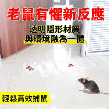 👍透明版滅鼠長魔毯👍【買十送一 臺灣現貨】 進口膠水 粘鼠貼 滅鼠 黏鼠闆 老鼠闆 捕老鼠 老鼠闆 抓老鼠 老鼠貼 老鼠