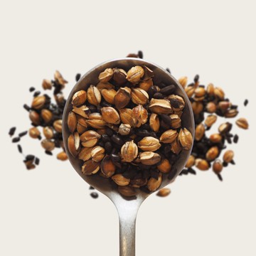 麥香決明茶－10入袋裝