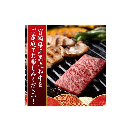 ふるさと納税 宮崎県 日之影町 宮崎県産 黒毛和牛 切落し 焼肉(計1kg・500g×2)