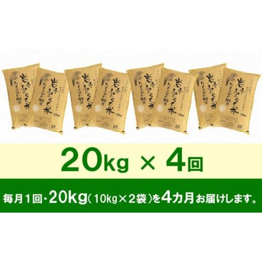 ふるさと納税 岩手県 奥州市 ☆全4回定期便☆ 岩手ふるさと米 20kg(10kg×2)×4ヶ月 一等米ひとめぼれ 令和5年産 新米  東北有数のお米の産地 岩手県奥州市産