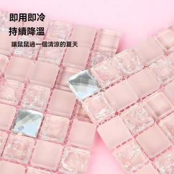 ❄️小寵降溫❄️小寵降溫冰墊 小寵涼墊 陶瓷冰墊 散熱闆 散熱墊 小寵水晶涼墊 倉鼠冰墊 倉鼠 天竺鼠 兔子倉鼠降溫用品