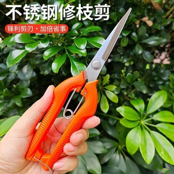 臺灣出貨✈️【可開發票】進口不鏽鋼葡萄採果剪稀果疏花剪修花枝剪柑橘子採摘剪刀摘果剪