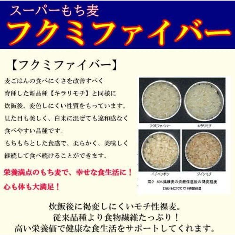 スーパーもち麦 フクミファイバー 20kg (5kg×4袋) 岡山県産