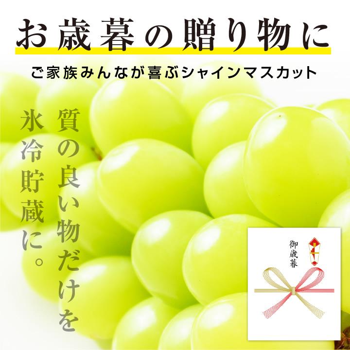 御歳暮ギフト 蔵出しシャインマスカット 秀品 1房 約600g 産地厳選 長野産 大房のみを厳選！ -S11T 送料無料 種なし 皮ごと 高糖度 大人気ぶどう