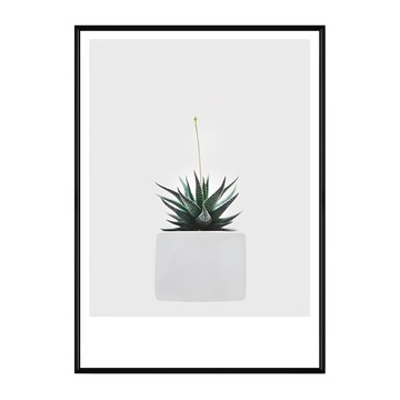 小鮮綠之希望不遠處 裱框畫  70 x 50cm  黑色