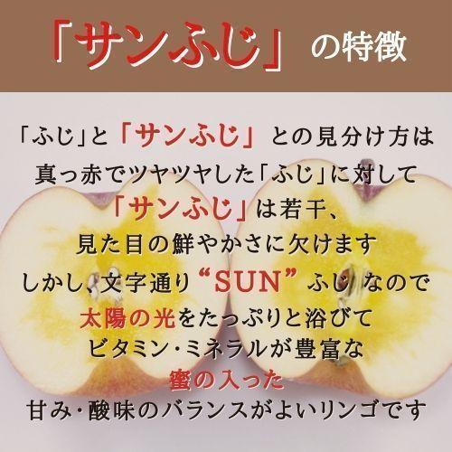  りんご サンふじ 最高級 2L 5kg 箱（約13〜14個入り） 産地直送 送料無料 12月上旬〜順次発送 福島 りんご屋さとう