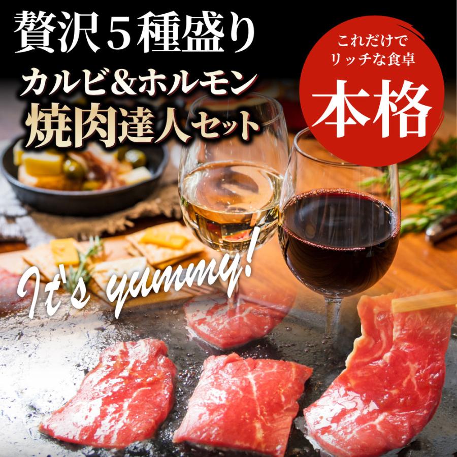 焼肉 セット 牛肉 肉 達人セット 5種盛り 食べ比べ5人前 カルビ ホルモン 福袋 お歳暮 ギフト 食品 プレゼント 女性 男性 お祝い 新生活